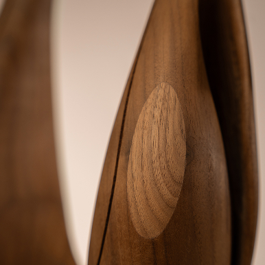 AERA-WOOD_FINAL_1